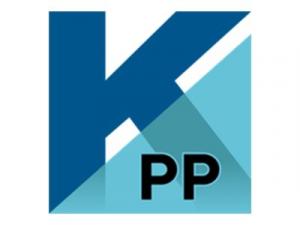Kofax PaperPort Professional - (v. 14) - Lizenz - 1 Benutzer - ESD - Win - Mehrsprachig