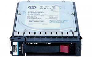 Hewlett Packard Enterprise 1TB HDD 7200RpM 3,5 Inch